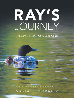 cover image of Ray's Journey